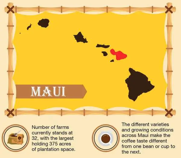 Maui Coffee