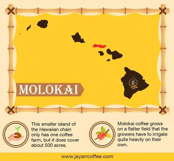 Molokai Coffee